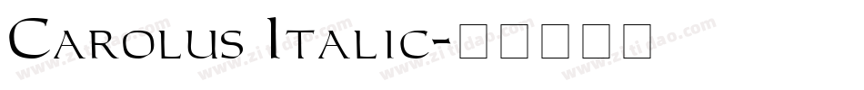 Carolus Italic字体转换